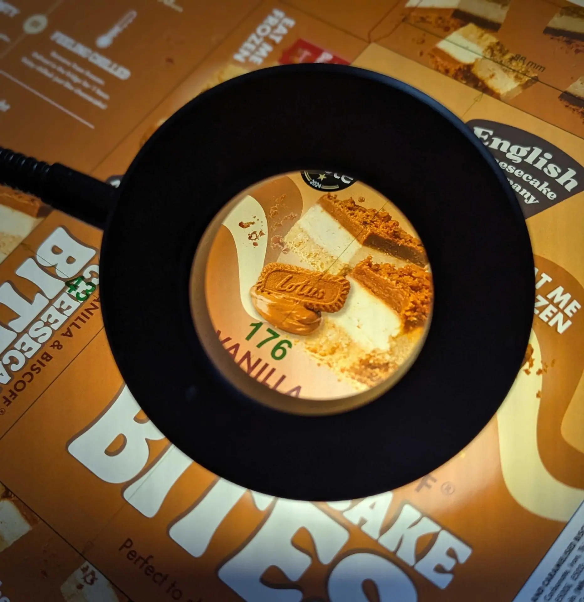 PXL_20241210_104648349.PORTRAIT